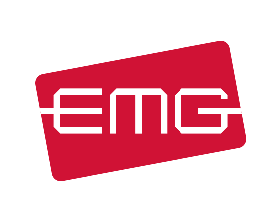EMG Pickups / FB Set / Electric Guitar Pickups, Bass Guitar Pickups,  Acoustic Guitar Pickups
